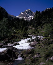 Vallee de Lutour looking south with snow covered peak of Pic de Labas 2927 m / 9586 ft above fast flowing river in foreground tumbling over rocks and framed by trees.