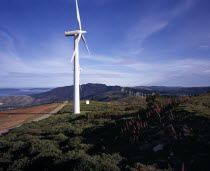 Coastal landscape with line of wind powered electricity generators stretching into the distance and foxgloves growing in foreground.