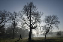 Castle Coole estate on a frosty morning. A woman out walkingIreland Parks Winter Woodland Leisure Keep Fit Trees