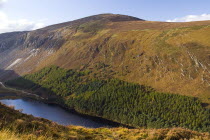 View west from the Spink Walk on the hills above GlendaloughIreland Eire Landscapes Mountains Loughs Tourism Walks