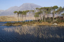 Derryclare Lough with Maumturk Mountains behindIreland Eire Landscapes Loughs Mountains