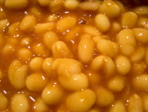 Baked Haricot beans in tomato sauce. European