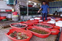 Seafood restarurant owner showing his selection of King Crabs in foregroundAsia Asian Chinese Chungkuo Jhonggu Zhonggu One individual Solo Lone Solitary