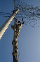 Barrio Indio Guayas slum neighbourhood. Man on ladder illegally connecting into the overhead mains electricity supply. American Equador Hispanic Latin America Latino Male Men Guy Neighbourhood Distri...