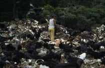 The city rubbish tip with a woman searching for items to recycle amongst waste surrounded by black vulture birds scavengingAmerican Equador Female Women Girl Lady Hispanic Latin America Latino One in...