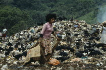 The city rubbish tip with a girl searching for items to recycle amongst waste with black vulture birds scavengingAmerican Equador Hispanic Latin America Latino One individual Solo Lone Solitary South...