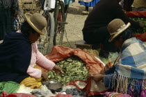 Coca leaves being sold at marketAmerican Bolivian Hispanic Latin America Latino South America