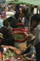 Selling coca leaves at marketAmerican Colombian Columbia Hispanic Latin America Latino South America