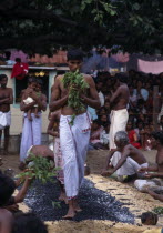 Punnaccolai Festival. Hindu Tamil devotee fire walking. Perfomed as part of a religious vow to honour Goddess KaliTamils Asia Asian Honor Llankai Religion Religion Religious Hinduism Hindus Sri Lank...