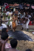 Punnaccolai Festival. Hindu Tamil eight year old boy fire walking. Perfomed as part of a religious vow to honour Goddess Kali8 Asia Asian Honor Kids Llankai Religion Religion Religious Hinduism Hind...