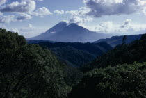View across dense green rainforest towards Lake Atitlan and volcanic mountainsLago de Atitlan American Central America Hispanic Latin America Latino Scenic
