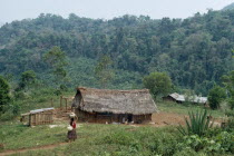 Q eqchi Indian refugee village. Woman walking along path carrying a pot on her head towards a thatched roof home with children and livestock gathered at the doorway. Surrounded by lush green rainfores...