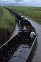 Sugar cane barges travelling along canal through plantation. Sugar is Guyana s main agricultural cropAmerican Guayanian South America Traveling