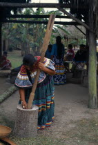Independent Seminole Native American village. Woman pounding corn wearing traditional colourful patchwork clothing North America United States of America American Classic Classical Colorful Female W...