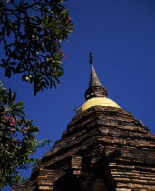 Wat Phan On built in 1501 AD.  Gold silk wrapped around base of Chedi spire during winter season  with pink flowered frangipani tree in foreground.temple-monasterystupa Asian History Prathet Thai Raja Anachakra Thai Religion Religious Siam Southeast Asia Siamese