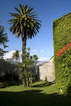 Villa Cimbrone. Tall tree at entrance to the villaTrees Gardens Villas European Italia Italian Southern Europe