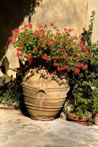 Villa Cimbrone. Urn with flowers Flowers Ceramics Pottery European Italia Italian Southern Europe