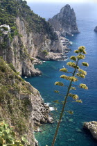 Capri Town. View towards Faraglioni Rocks from Augustus GardensCoastlines Seascapes Cliffs Landscape European Italia Italian Scenic Southern Europe
