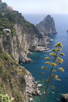 Capri Town. View towards Faraglioni Rocks from Augustus GardensCoastlines Seascapes Cliffs Landscape European Italia Italian Scenic Southern Europe