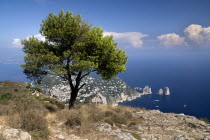 Vista from Capris highest mountain Monte SolaroCoastlines Seascapes Islands Mediterranean European Italia Italian Southern Europe Scenic