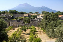 View over the eastern section of the ruined city with Vesuvius in the backgroundArchaeology Romans Volcanoes Ancient Cities European Italia Italian Pompei Southern Europe History Scenic