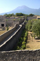 View over the eastern section of the ruined city with Vesuvius in the backgroundArchaeology Romans Volcanoes Ancient Cities European Italia Italian Pompei Southern Europe History Scenic