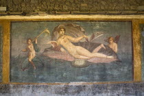 House of Venus in the ShellArchaeology Romans Volcanoes Ancient Cities European Italia Italian Pompei Southern Europe