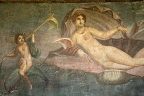 House of Venus in the ShellArt Frescoes Romans Volcanoes Ancient Cities European Italia Italian Pompei Southern Europe