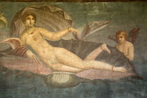 House of Venus in the ShellArt Frescoes Romans Volcanoes Ancient Cities European Italia Italian Pompei Southern Europe