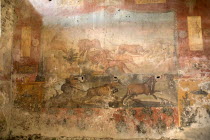 Main fresco in the House of the CeiiArt Frescoes Romans Volcanoes Ancient Cities European Italia Italian Pompei Southern Europe