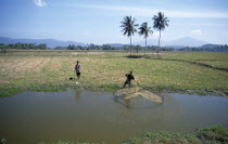 Two men by pond in fields near Cenang with one casting a fishing net into the waterMalaysian Southeast Asia 1 2 Asian Farming Agraian Agricultural Growing Husbandry  Land Producing Raising Male Man G...