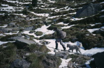 Shepherd climbing mountain path in melting snow followed by dog.Espainia Espana Espanha Espanya European Farming Agraian Agricultural Growing Husbandry  Land Producing Raising Hispanic Southern Europ...
