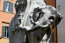 Bernini marble elephant in the Obelisk of Santa Maria sopra Minerva in the Piazza della MinervaEuropean Italia Italian Roma Southern Europe Gray History Religion Religious