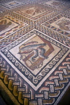 Vatican City Museums Detail of a Roman mosaic on the floor of the Room of Animals in the Belvedere PalaceEuropean Italia Italian Roma Southern Europe Catholic Principality Citta del Vaticano History...
