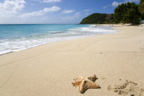 South Glossy Beach in Glossy Bay with a starfish on the sand and waves breaking on the shoreline of the turqoise seaBeaches Resort Sand Sandy Scenic Seaside Shore Tourism West Indies Caribbean Southe...