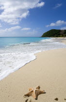 South Glossy Beach in Glossy Bay with a starfish on the sand and waves breaking on the shoreline of the turqoise seaBeaches Resort Sand Sandy Scenic Seaside Shore Tourism West Indies Caribbean Southe...