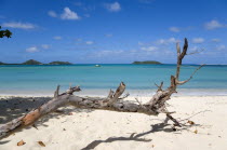 Dead branch of a tree in the sand with waves breaking on Paradise Beach at LEsterre Bay with the turqoise sea  a fishing boat at anchor and small islands beyondBeaches Resort Sand Sandy Scenic Seasid...