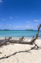 Dead branch of a tree in the sand with waves breaking on Paradise Beach at LEsterre Bay with the turqoise sea  a fishing boat at anchor and small islands beyondBeaches Resort Sand Sandy Scenic Seasid...