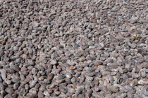 Cocoa beans drying in the sun at Dougaldston Estate plantationCaribbean Grenadian Greneda West Indies Grenada Farming Agraian Agricultural Growing Husbandry  Land Producing Raising