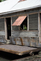 Cocoa beans drying in the sun on retractable racks under the drying sheds at Dougaldston Estate plantation Caribbean Grenadian Greneda West Indies Grenada Farming Agraian Agricultural Growing Husband...