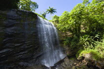 Water cascading down the Royal Mount Carmell Waterfall surrounded by lush green vegetationCaribbean Grenadian Greneda West Indies Grenada Scenic
