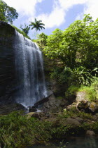 Water cascading down the Royal Mount Carmell Waterfall surrounded by lush green vegetationCaribbean Grenadian Greneda West Indies Grenada Scenic