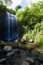 Water cascading down the Royal Mount Carmell Waterfall surrounded by lush green vegetationCaribbean Grenadian Greneda West Indies Grenada Scenic