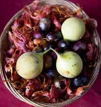 Basket at the Belmont Estate plantation in St Patrick parish containing nutmeg fruit nutmegs and maceCaribbean Grenadian Greneda West Indies Grenada Farming Agraian Agricultural Growing Husbandry  La...