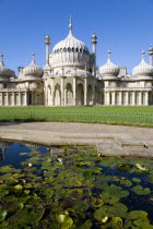 The onion shaped domes of the 19th Century Pavilion designed in the Indo- Saracenic style by John Nash commissioned by George Prince of Wales later to become King George IV. The oval water lilly pond...