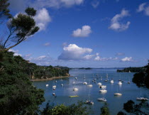 View over bay with moored boats.Antipodean Oceania Scenic