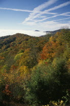 Great Smoky Mountain National Park. Tress in autumn colours.Smokey  Fall colours American North America Northern Scenic United States of America