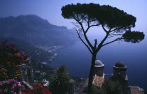 View of Amalfi coast from Villa Rufolo with a tree in foreground Italia Italian Southern Europe European Scenic