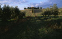 Rural landscape with an avenue of cypress trees leading to hill top building.Italia Italian Southern Europe European Scenic Toscana Tuscan