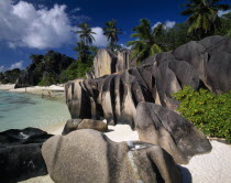 Large  smoothly eroded rocks with graduated colour tones and tidemarks.  Clear blue water  palm trees and stretch of white sand behind. Asian Beaches Color Eastern Africa Gray Resort Sandy Seaside Se...